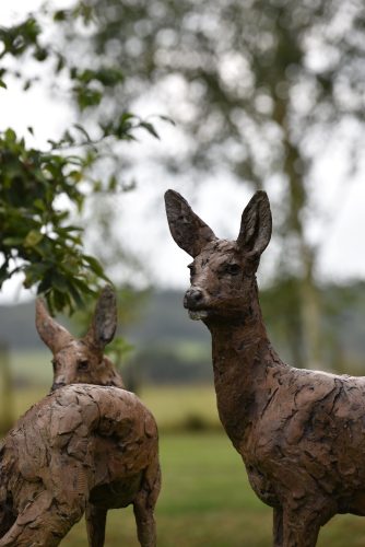 Mackie bronze roe deer