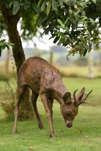 bronze roe deer