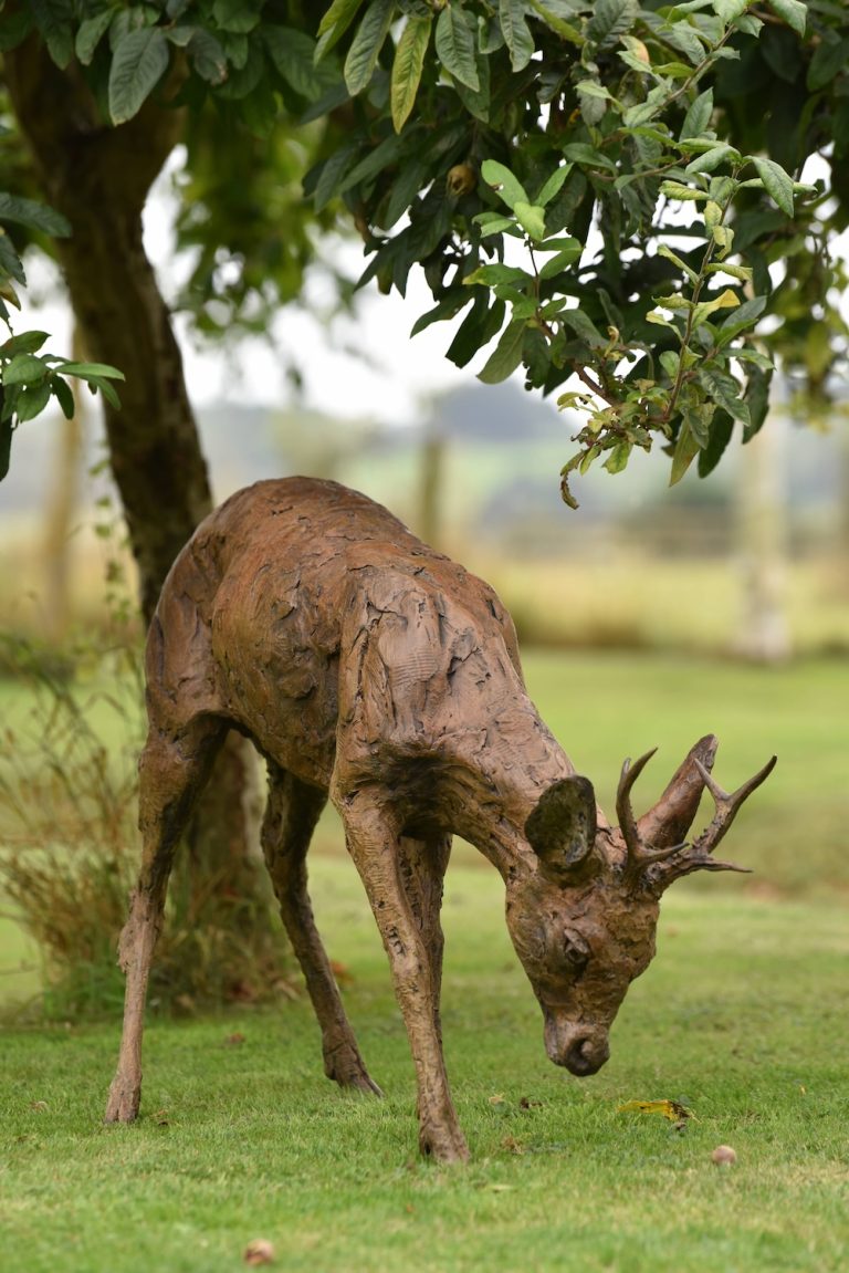 bronze roe deer