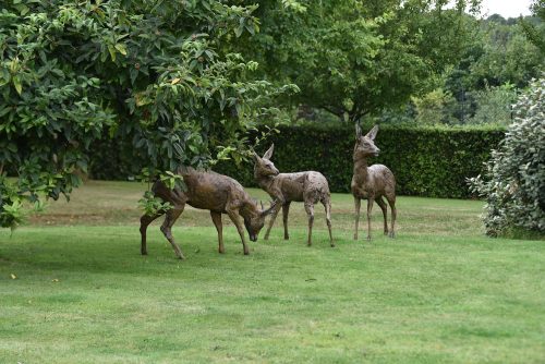 Mackie bronze roe deer