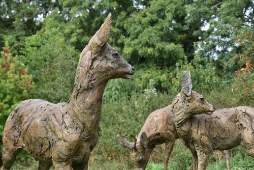 bronze roe deer