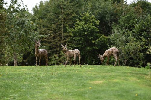 group of roe deer sculptures