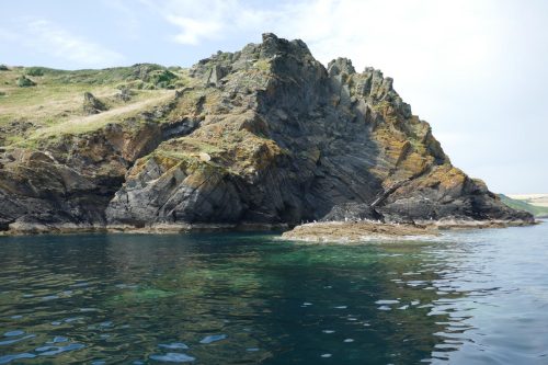 cormorants near cliffs