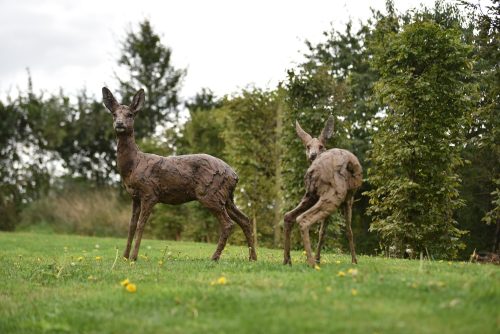 two roe deer sculptures
