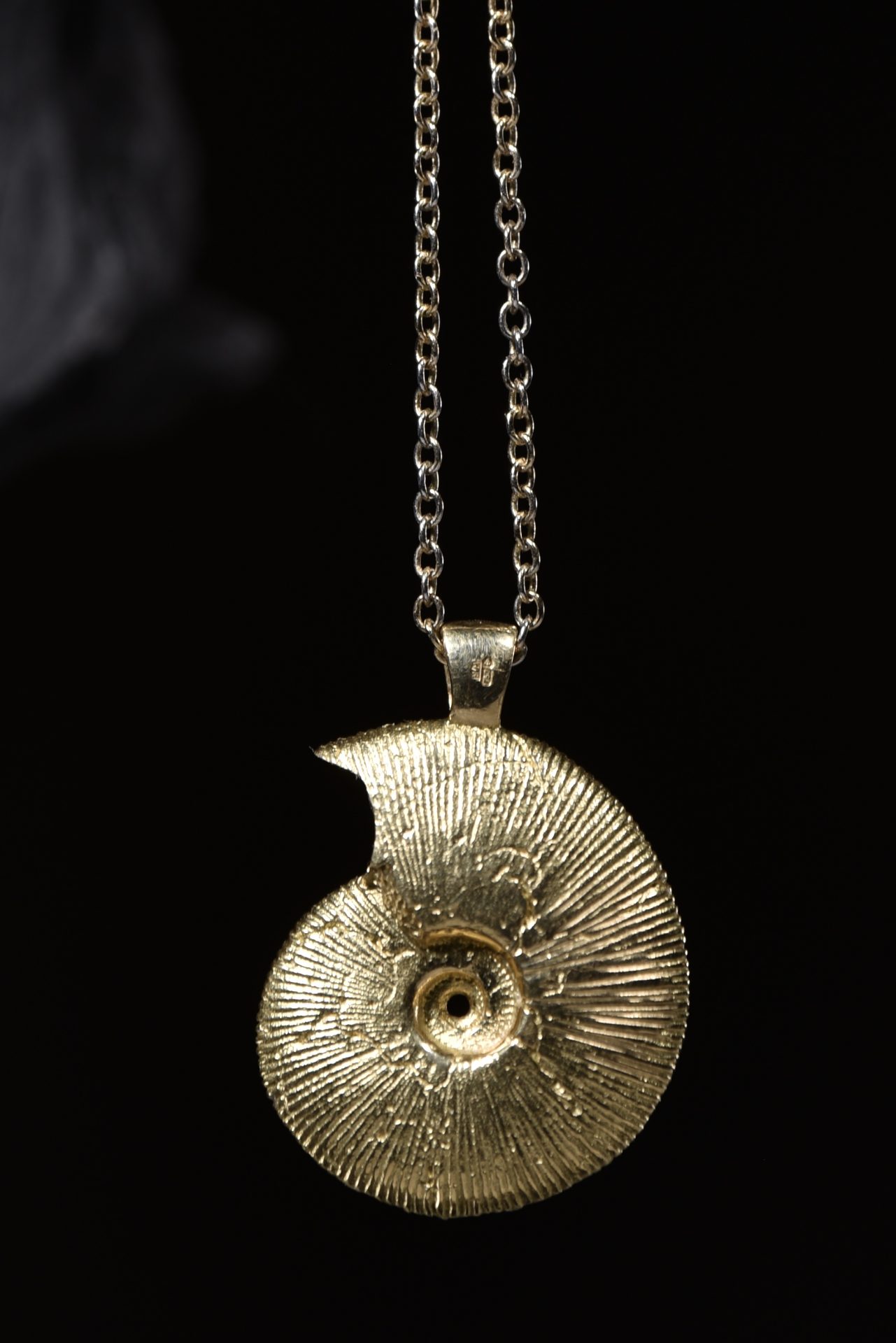Mackie ammonite necklace