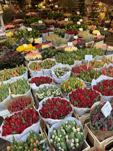 flowers in market in Amsterdam