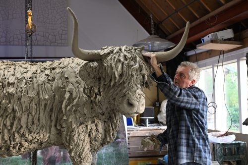 Hamish sculpting highland cow