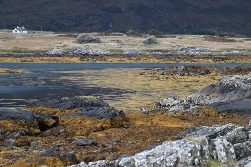 Inlet at Isle of Mull