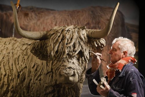 Hamish making the life size highland cow