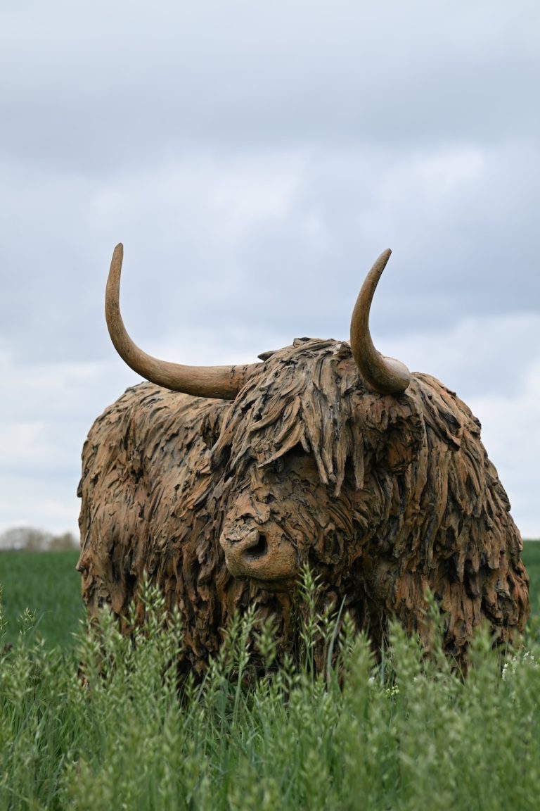 Highland cow bronze sculpture