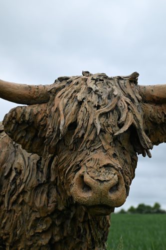 sculpture in bronze of Highland cow