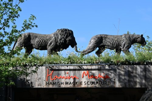 lion and lioness sculptures
