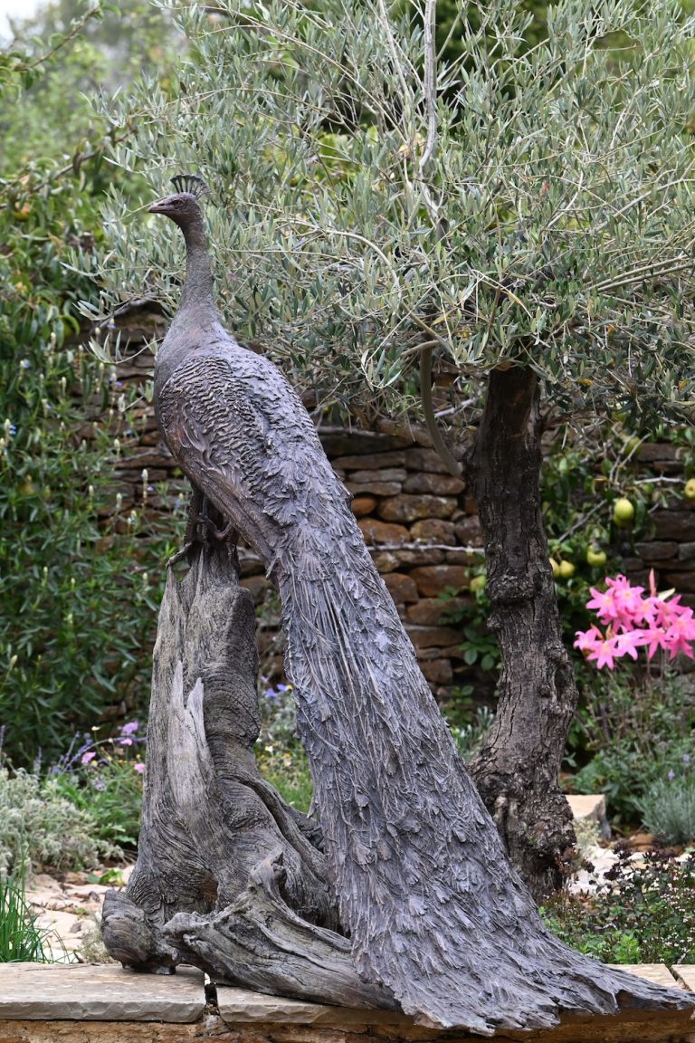Peacock in bronze