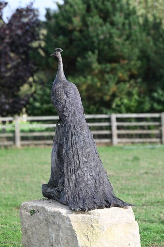life size peacock in bronze