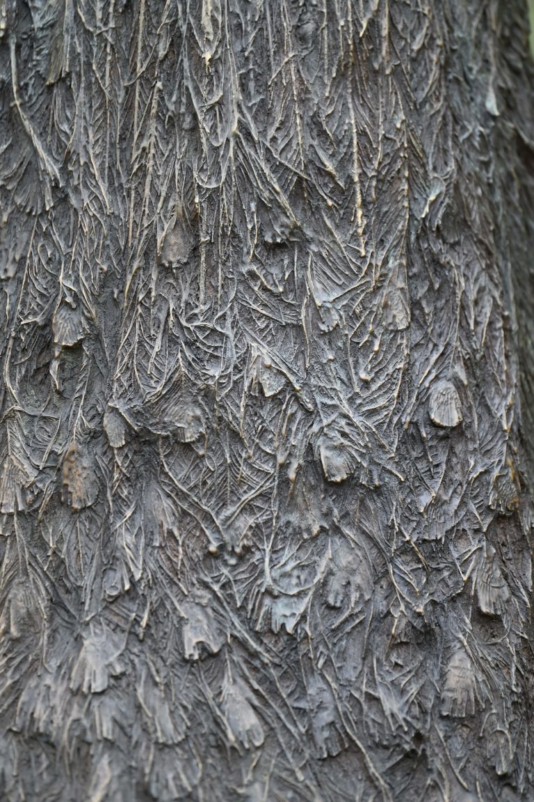 detail of tail of peacock sculpture