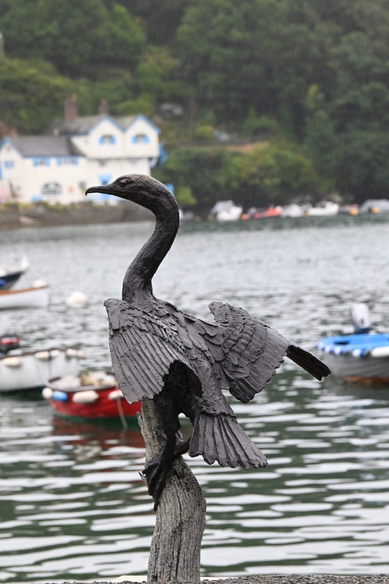Bronze cormorant sculpture by Hamish Mackie