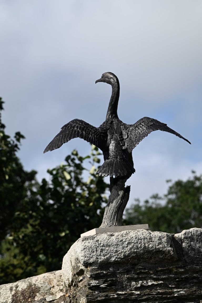 Bronze cormorant by Mackie