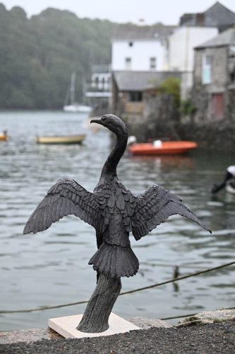 Mackie's bronze cormorant