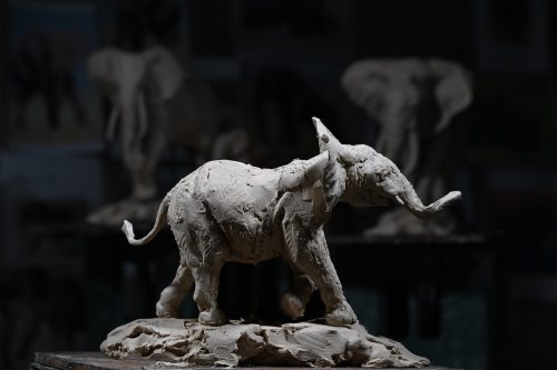 Clay model of adolescent elephant