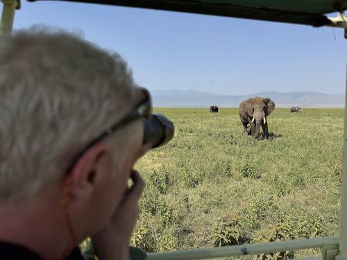 Mackie photographing bull elephant