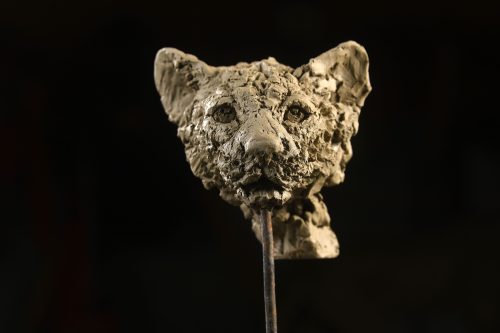 Hamish's leopard cub head study