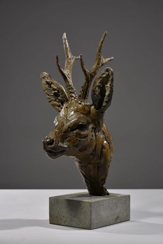Hamish's roe buck head sculpture