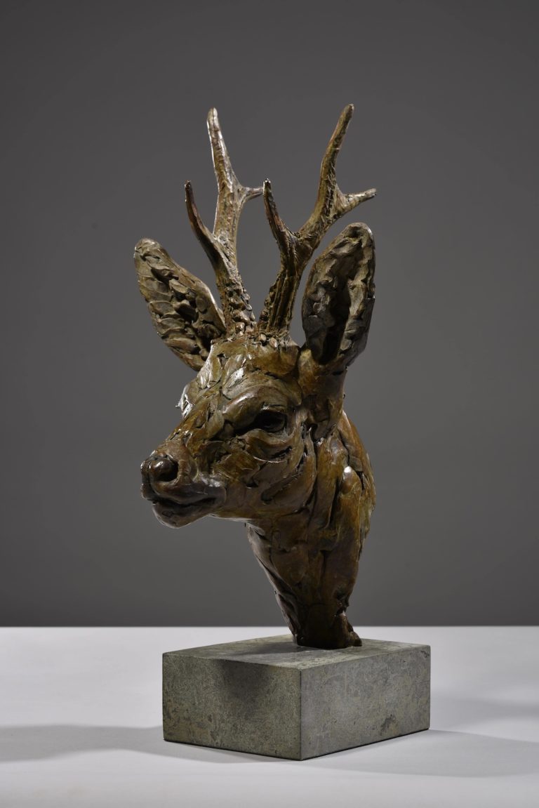 Hamish's roe buck head sculpture