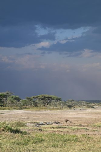 African landscape
