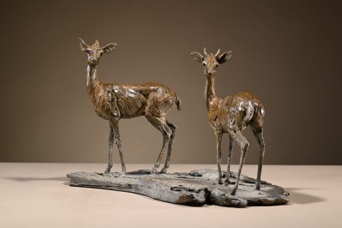 Mackie sculptures of dik dik