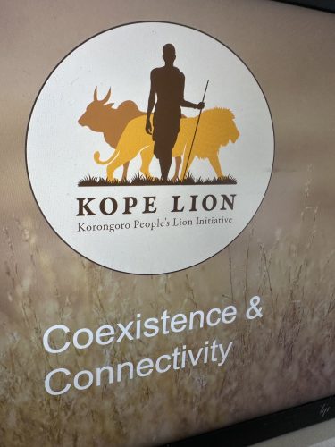 KopeLion logo