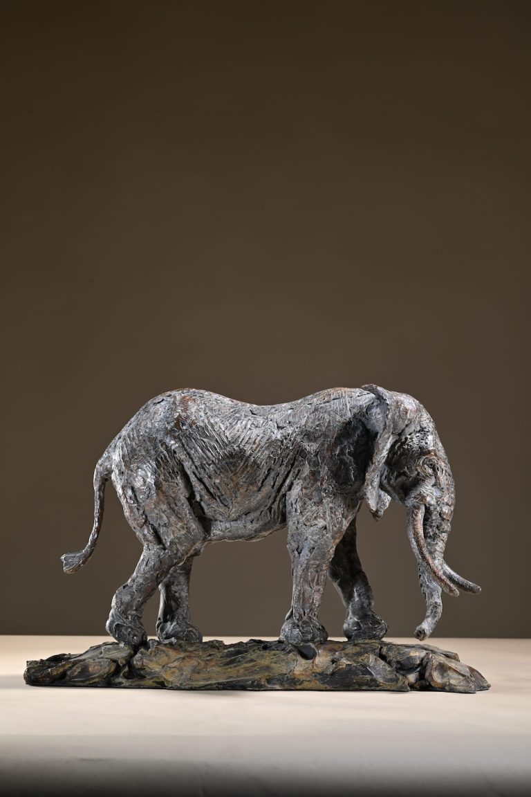 Bull elephant by Mackie