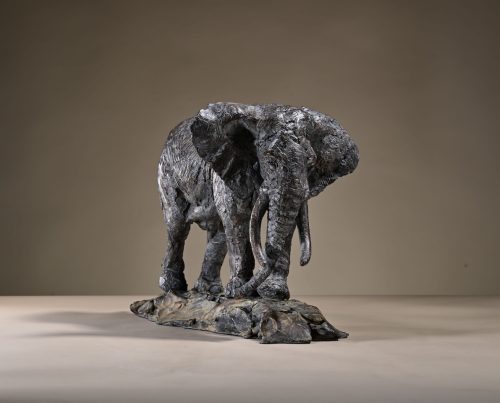 Mackie's bull elephant