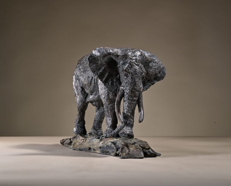 Mackie's bull elephant