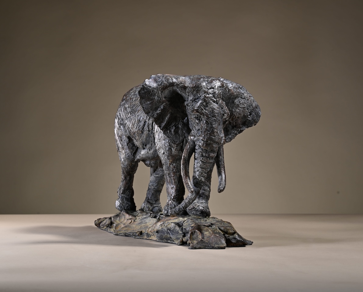 Hamish Mackie bronze bull elephant sculpture