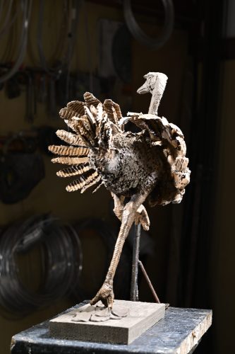 Ostrich clay