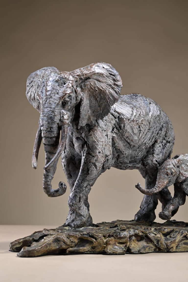 Hamish's elephant mother and calf