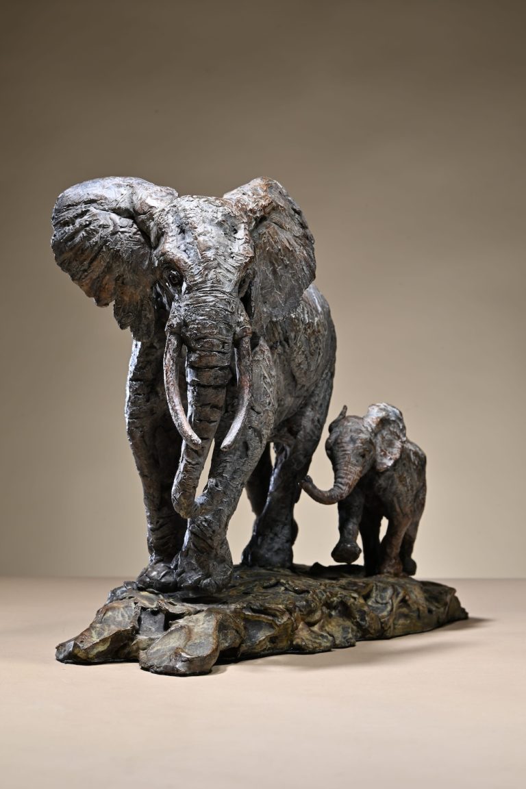 Mackie's elephant mother and calf