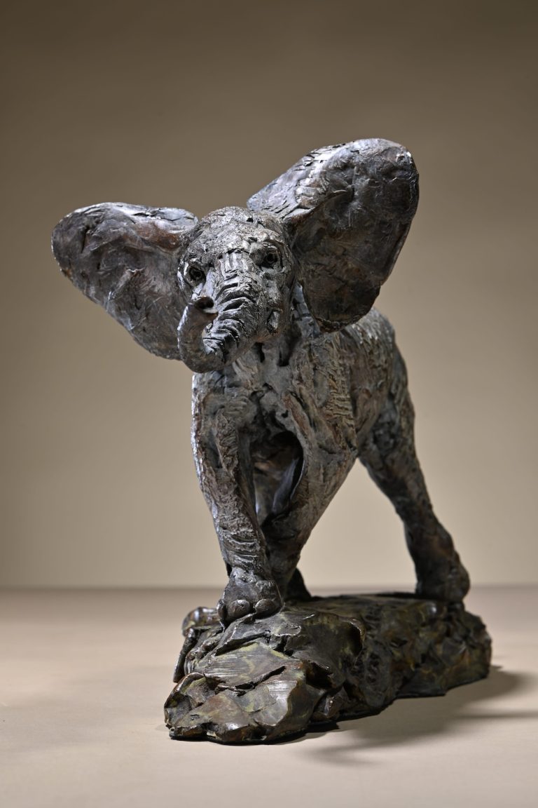 Mackie's bronze adolescent elephant