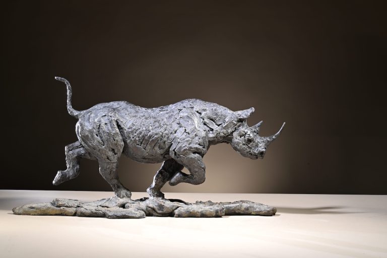 Mackie's black rhino running