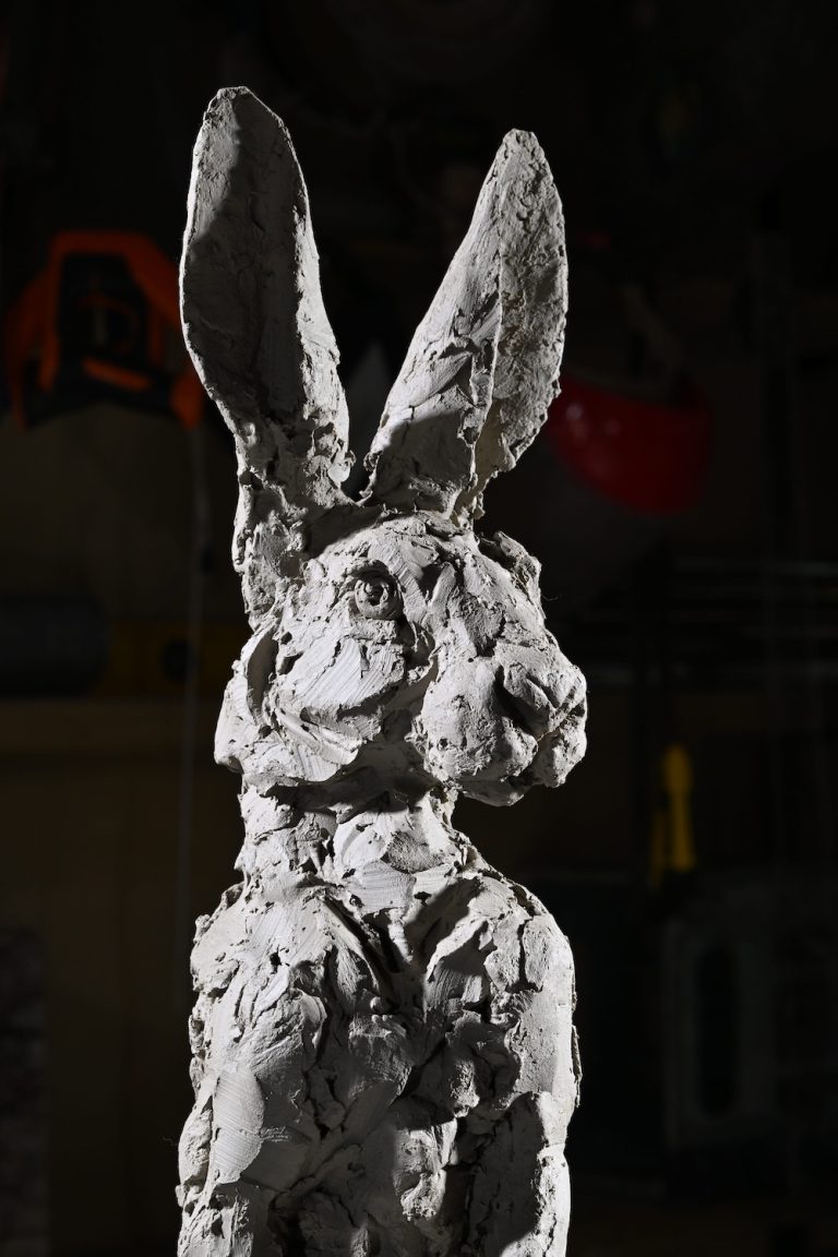 close up of hare standing head