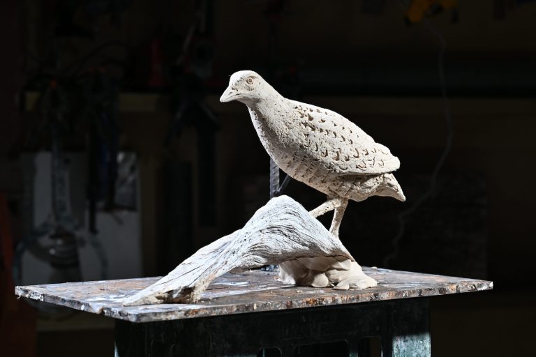Mackie's corncrake sculpture in plasticine