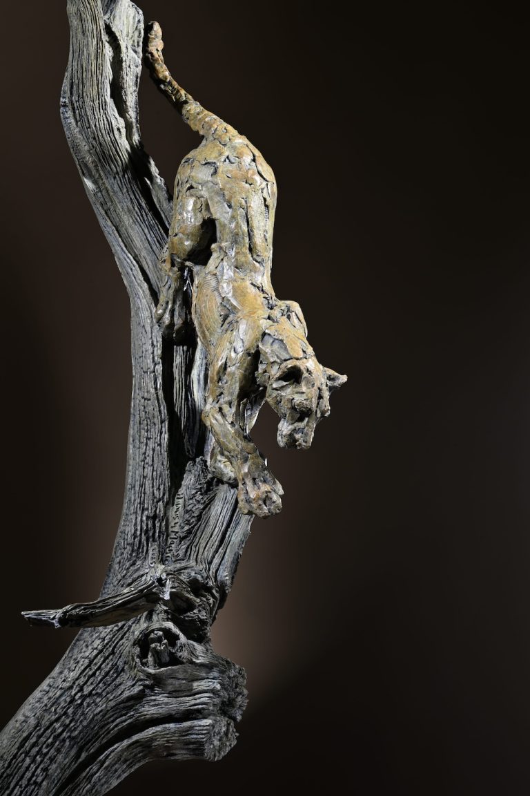 Mackie's sculpture of leopard climbing down