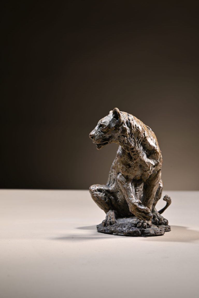 Scaled down lioness in bronze