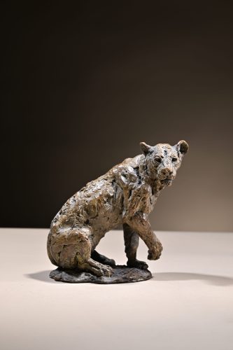Mackie's scaled down lioness