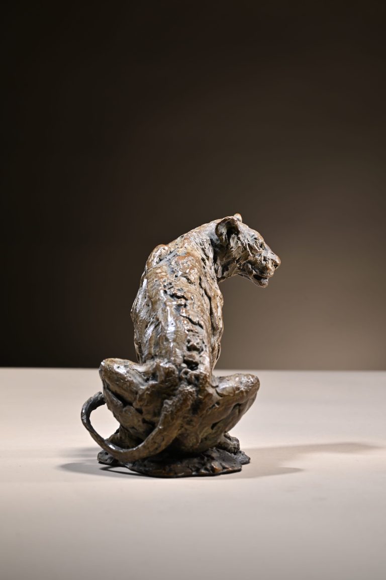 rear view of lioness scaled down