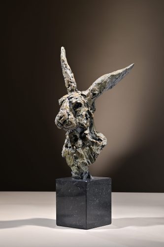 Mackie's hare head