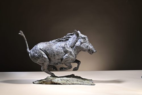 Macki'e warthog