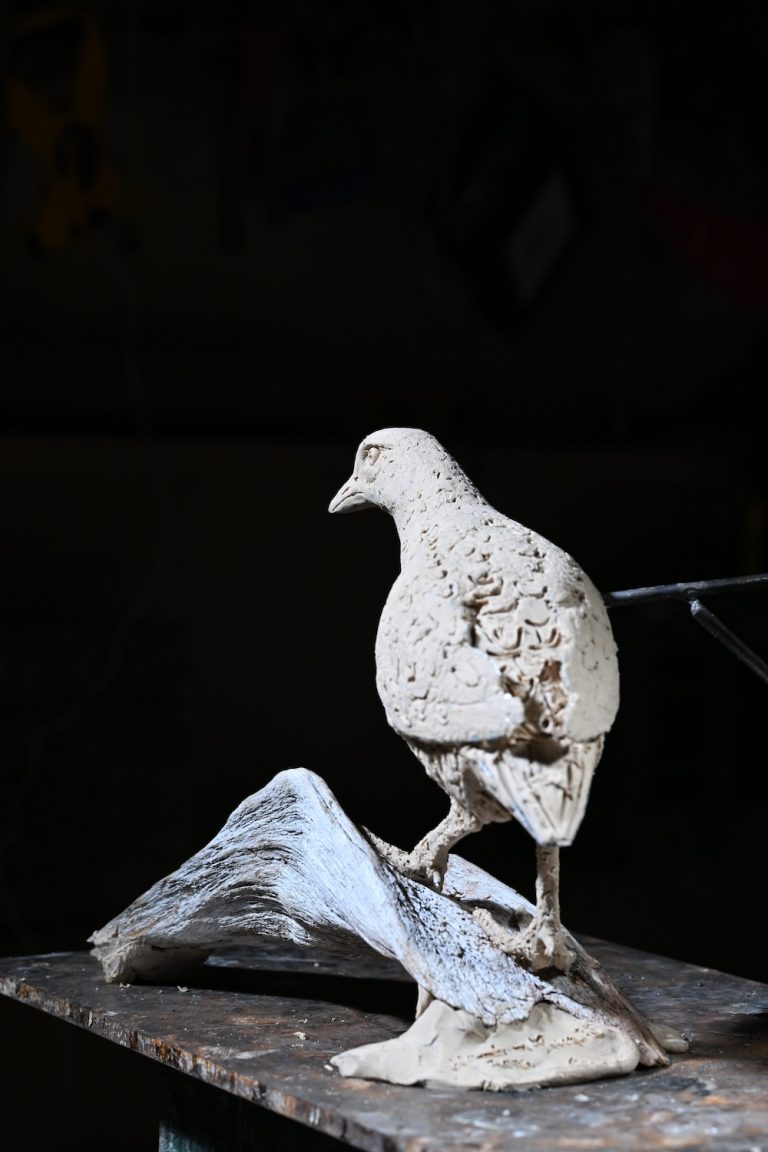 Mackie's corncrake