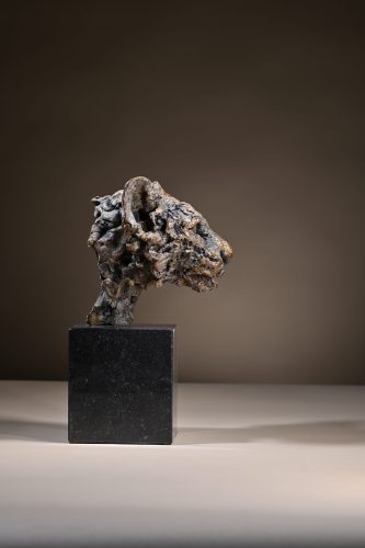 Leopard cub head study