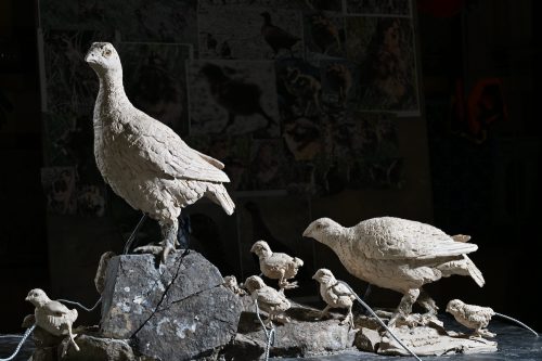 Clay model of grouse brood